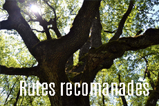 rutes recomanades