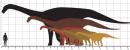 Comparativa de la mida d'un sauropode respecte una persona
